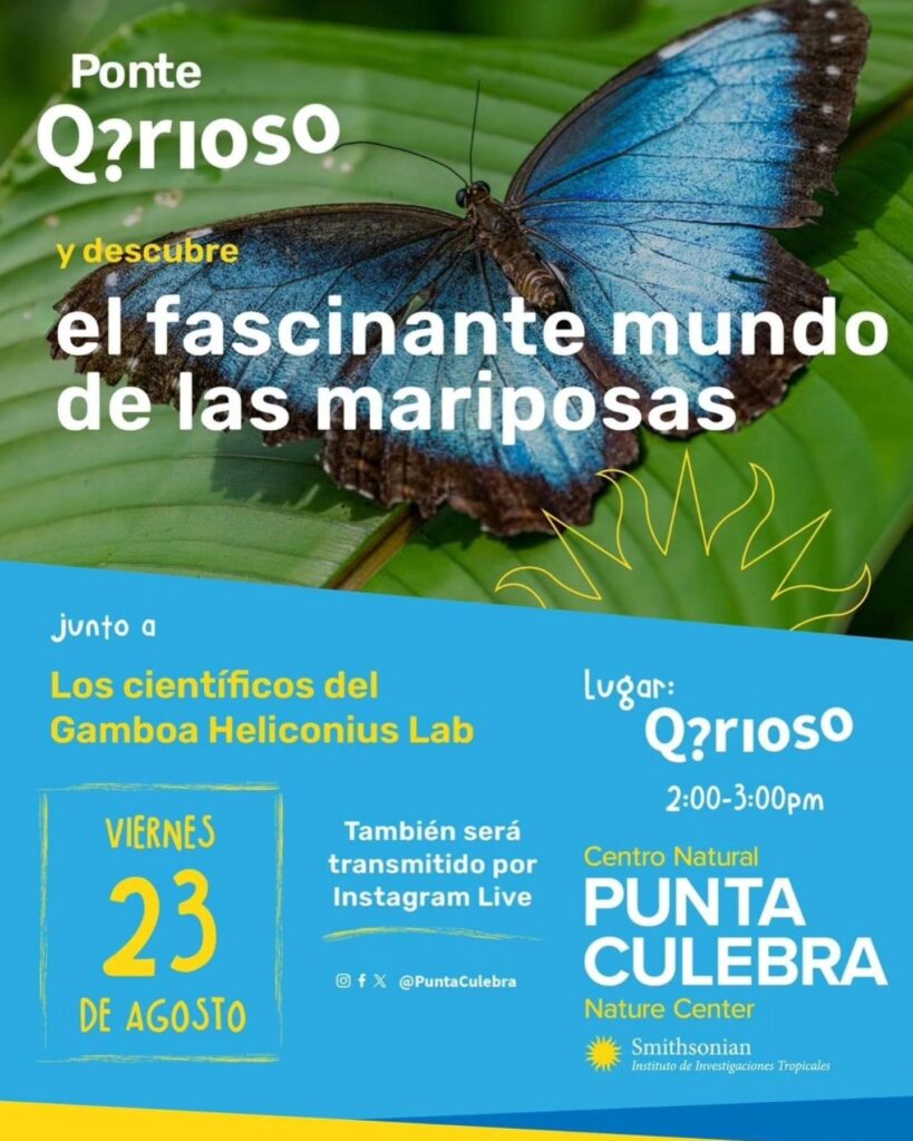 Inauguración de la nueva exhibición de mariposas