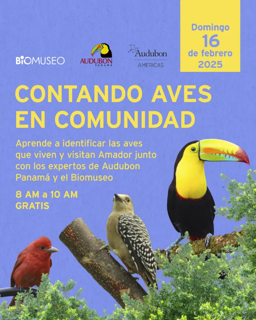 Contando Aves en Comunidad