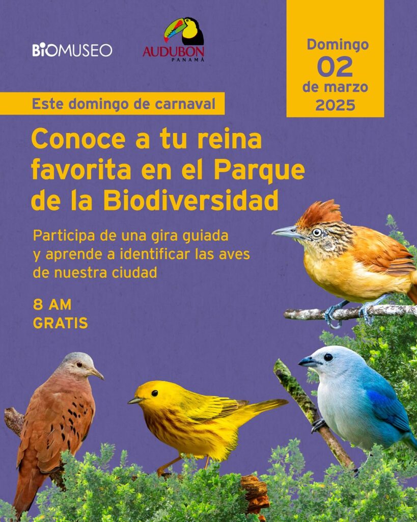 Carnaval en eln Biomuseo