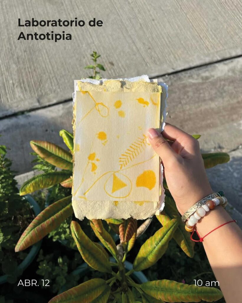 Libro de Antotipia