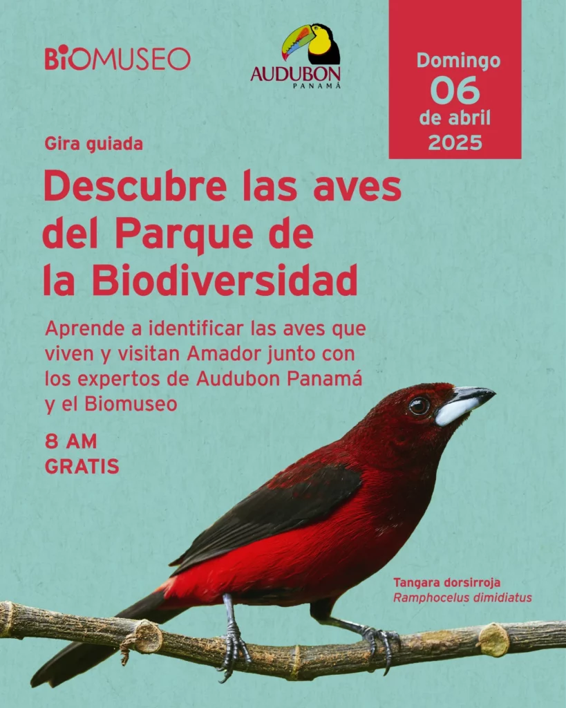 Descubre las Aves del Parque de la Biodiversidad