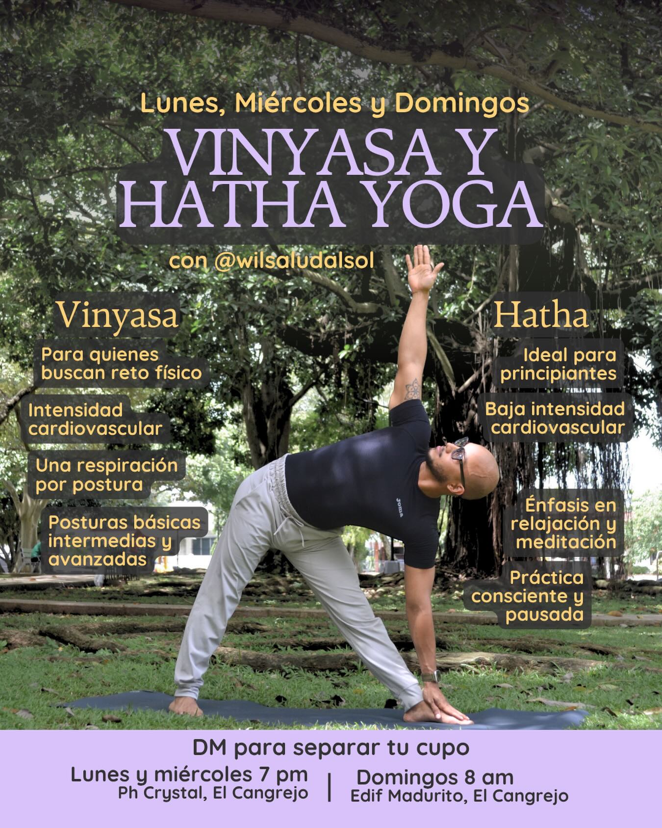 Vinyasa y Hatha Yoga