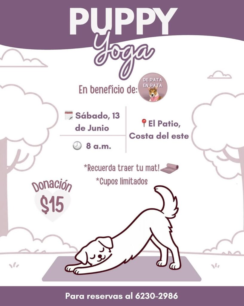 Puppy Yoga en beneficio de De Pata en Pata