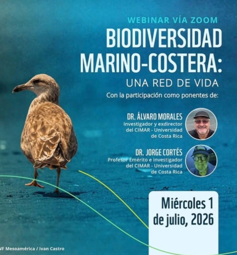 Biodiversidad Marino-Costera: Una Red de Vida