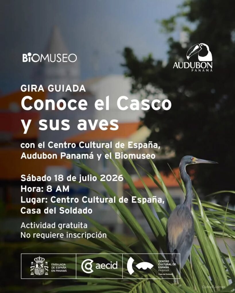 Gira Guiada: Conoce el Casco y sus aves