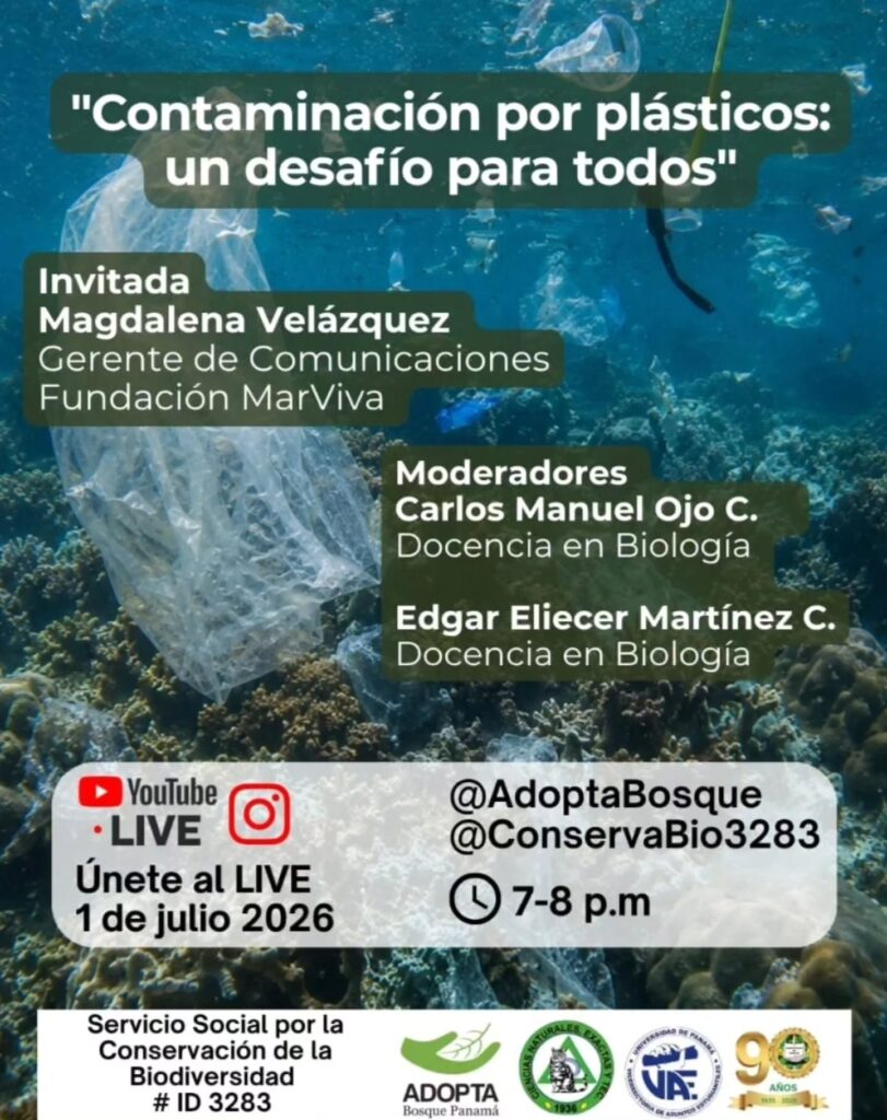 Contaminación por plásticos: un desafío para todos