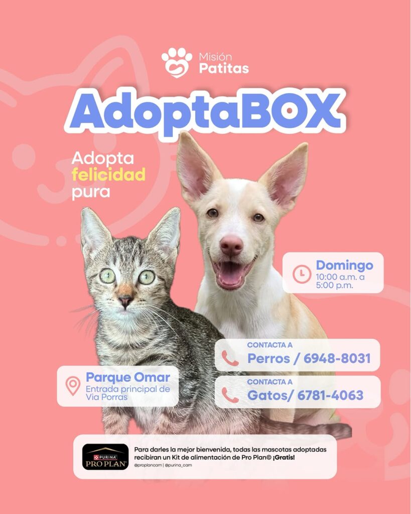 AdoptaBOX
