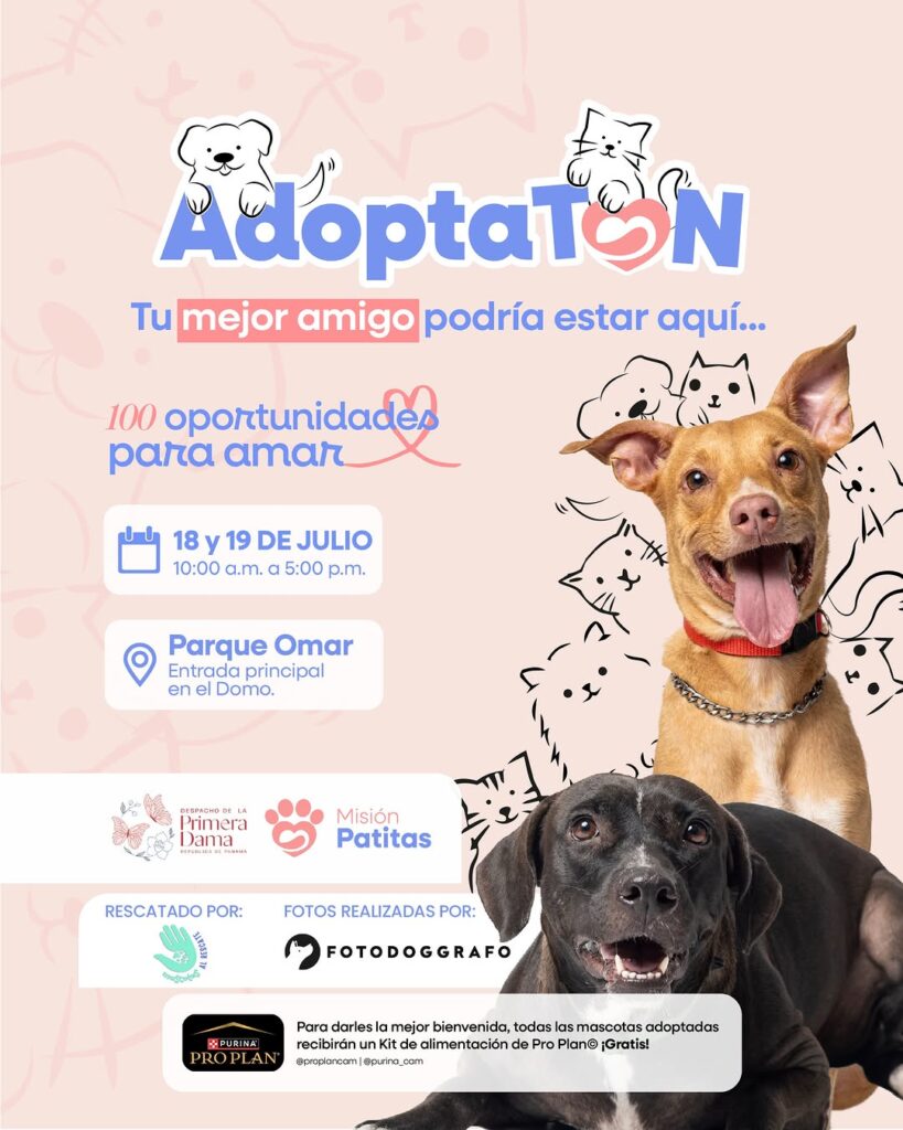 AdoptaTON