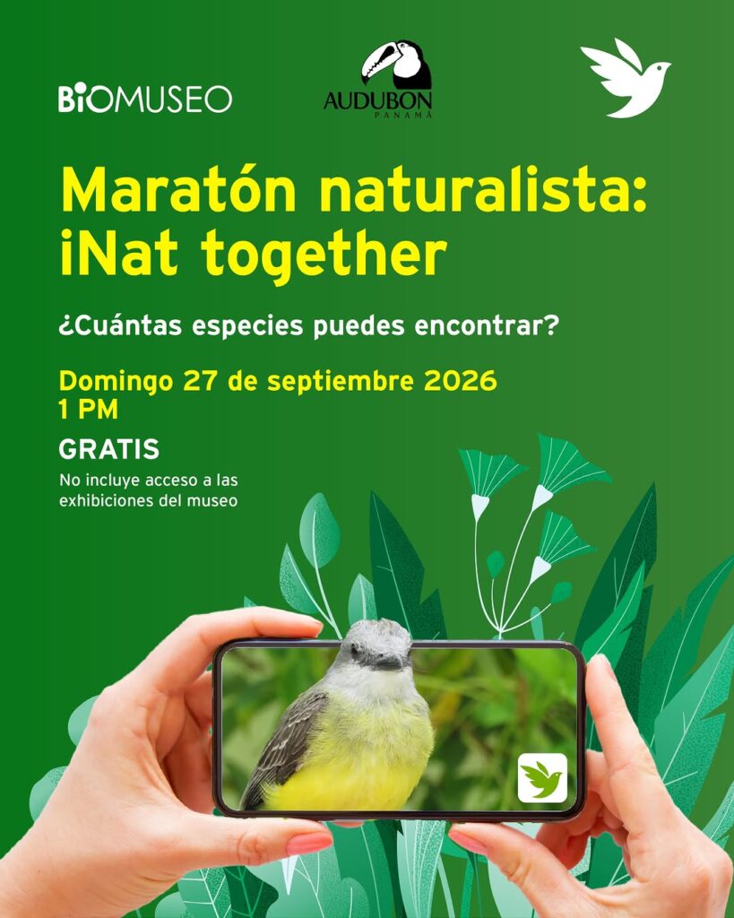 Maratón naturalista: iNat together