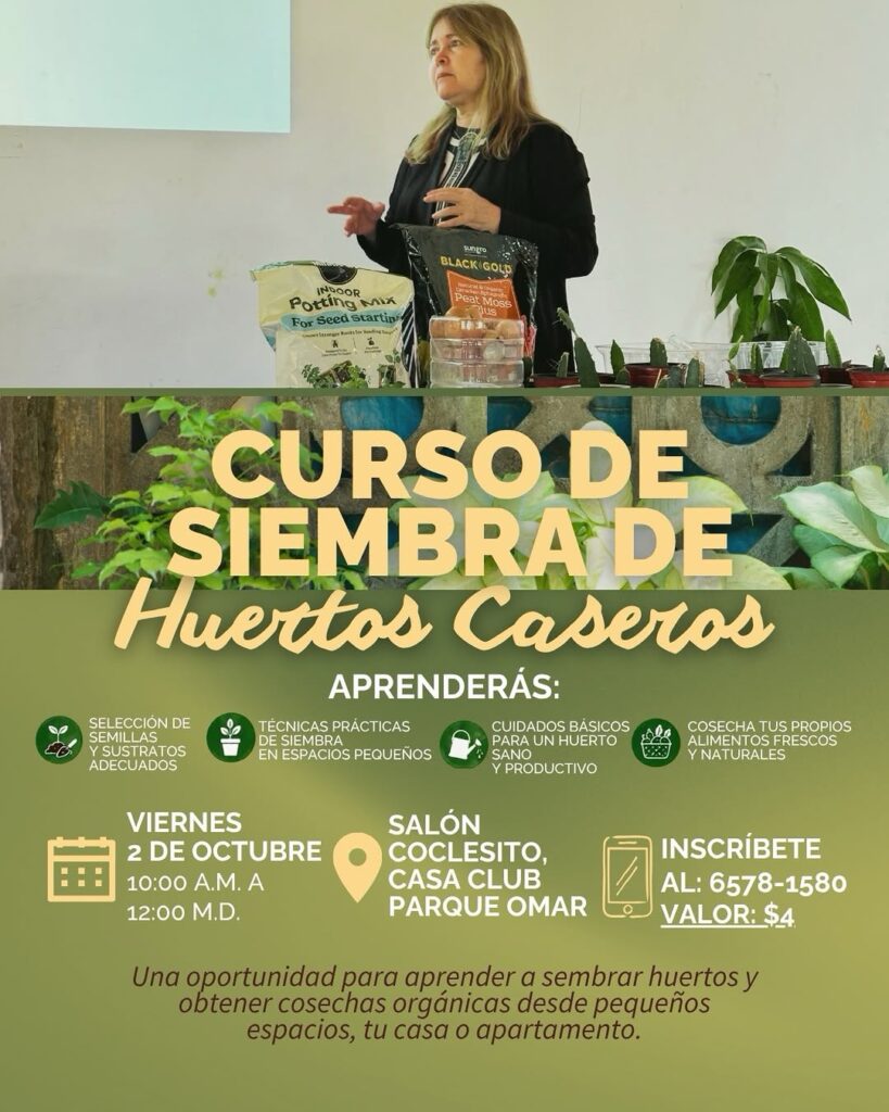 CURSO DE SIEMBRA DE Huertos Caseros