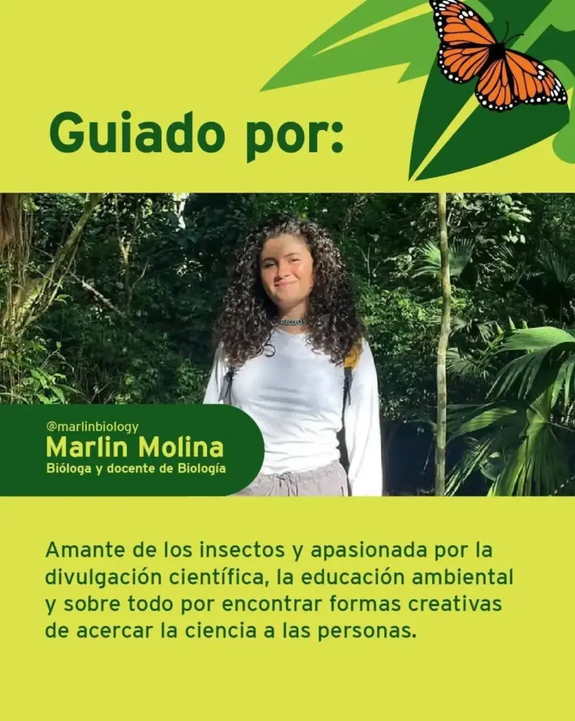 Taller de Crochet