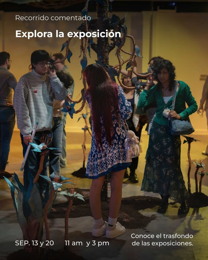 Recorrido comentado: Explora la exposición