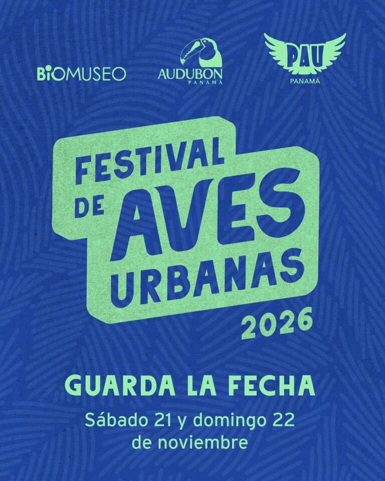 Festival de Aves Urbanas