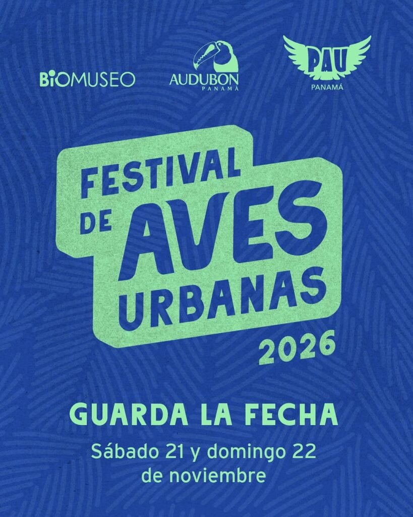Festival de Aves Urbanas