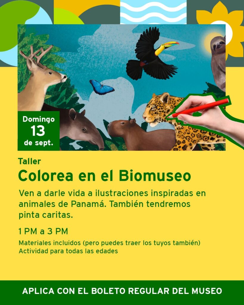 Colorea en el Biomuseo