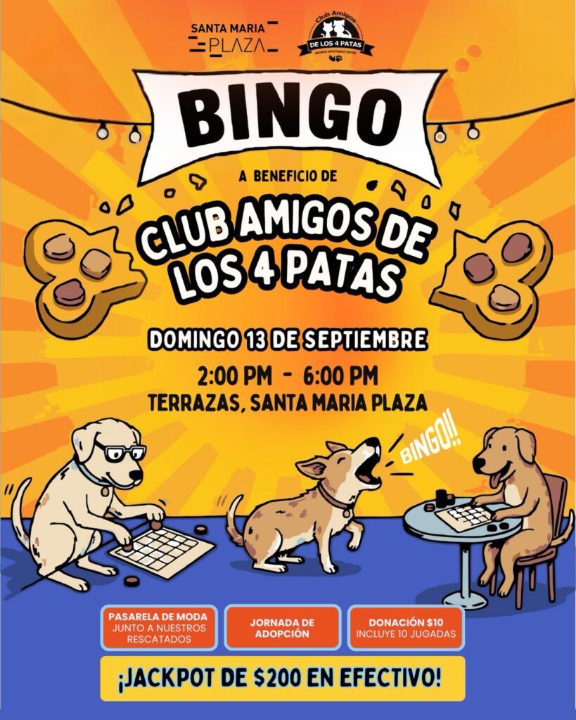 BINGO SALVAVIDAS