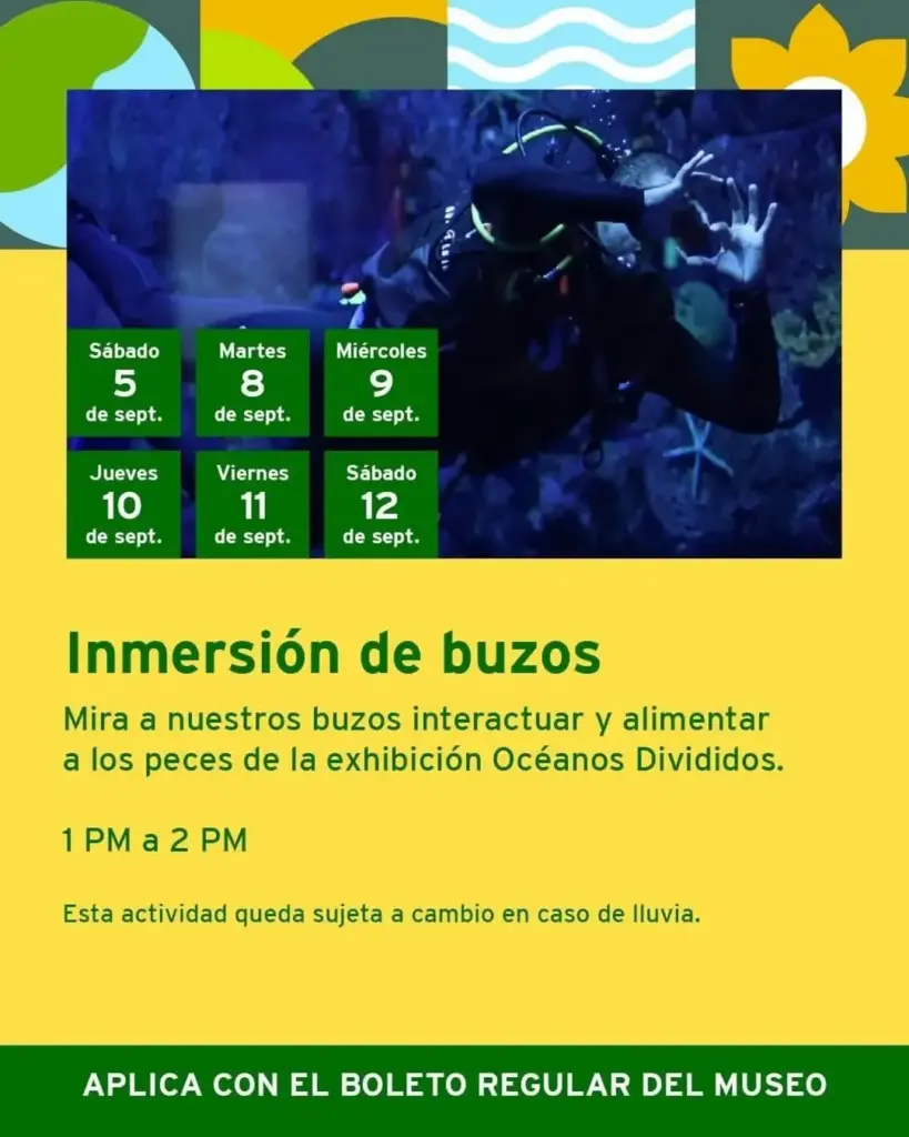 Inmersión de buzos