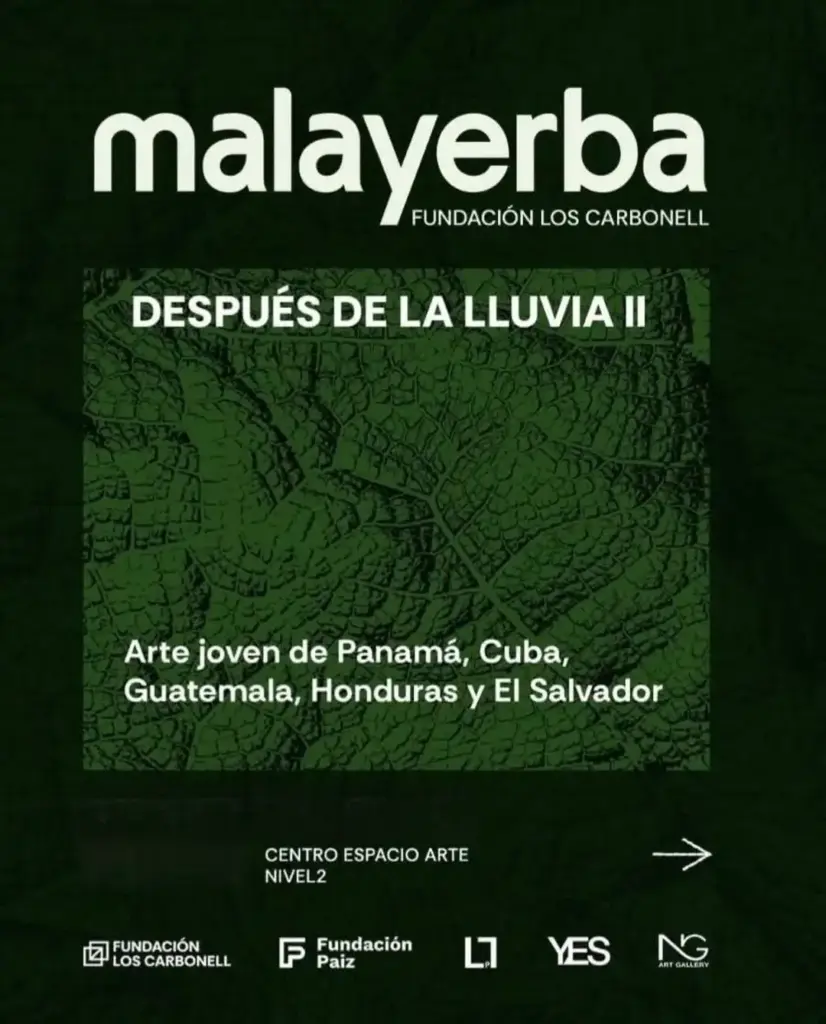 Después de la Lluvia II