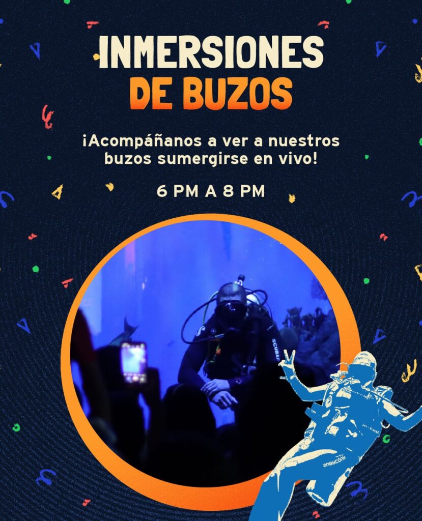 Inmersiones de Buzos
