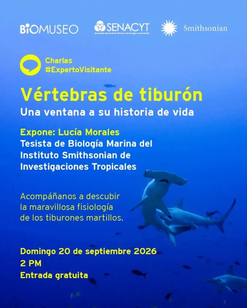 Charla: Vértebras de tiburón