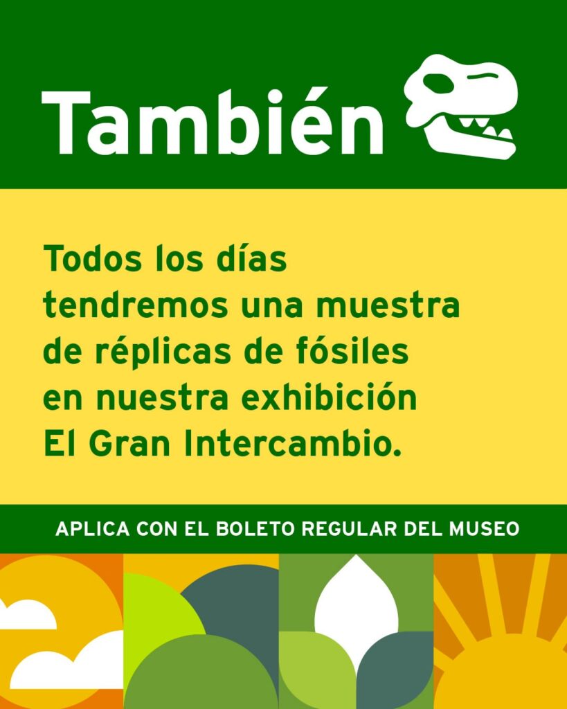 Exhibición: El Gran Intercambio