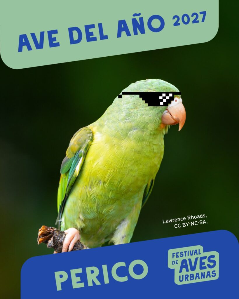 Festival de Aves Urbanas