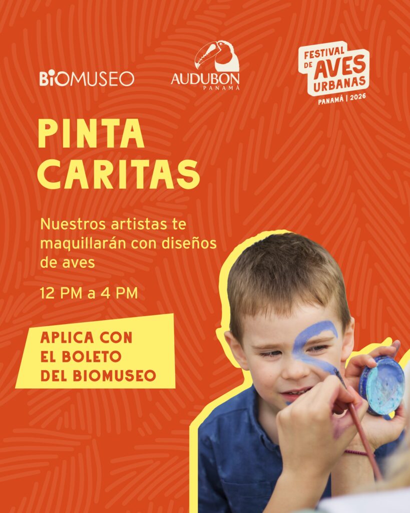 Pinta Caritas