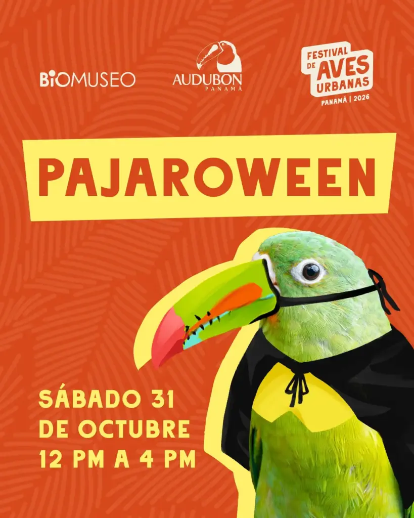 Pajaroween