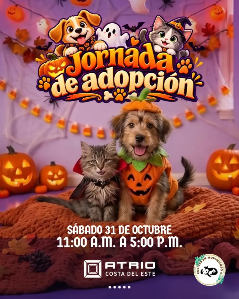 Jornada de Adopción