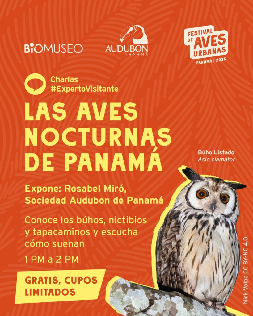 Charla: Las Aves Nocturnas de Panamá