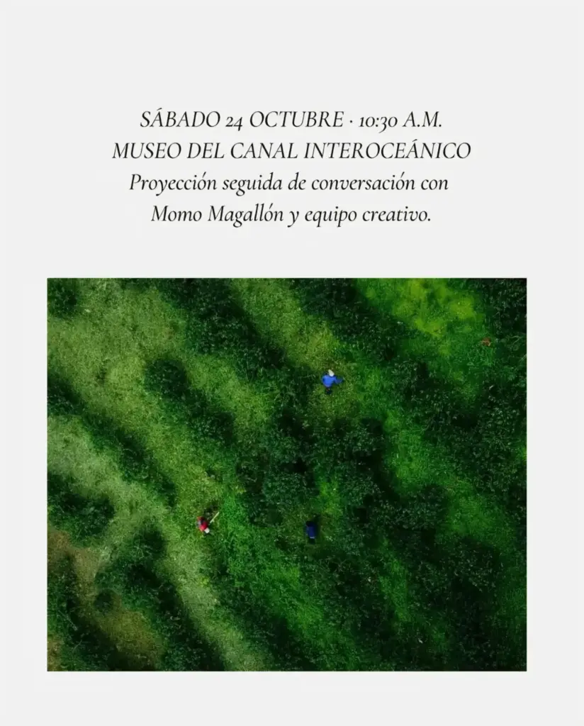 Proyección seguida de conversación con Momo Magallón y equipo creativo