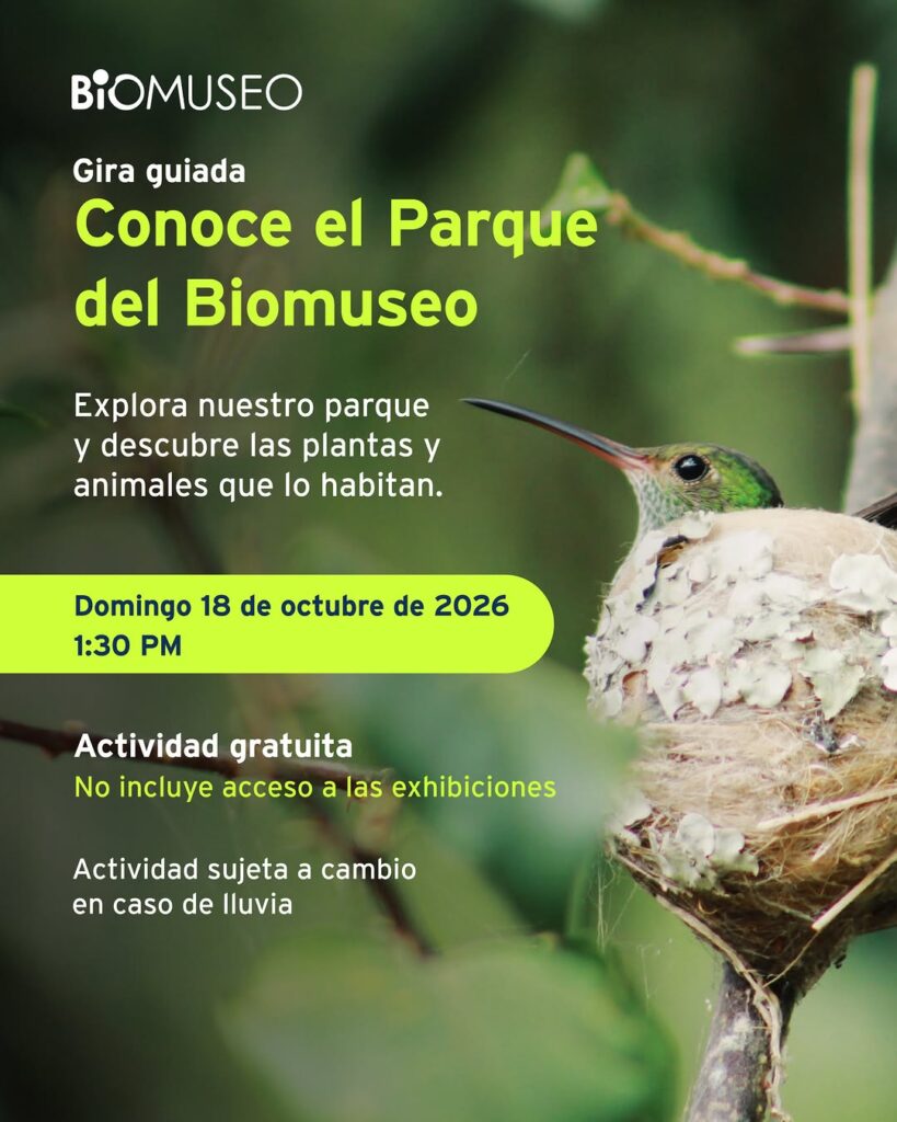 Gira guiada: Conoce el Parque del Biomuseo