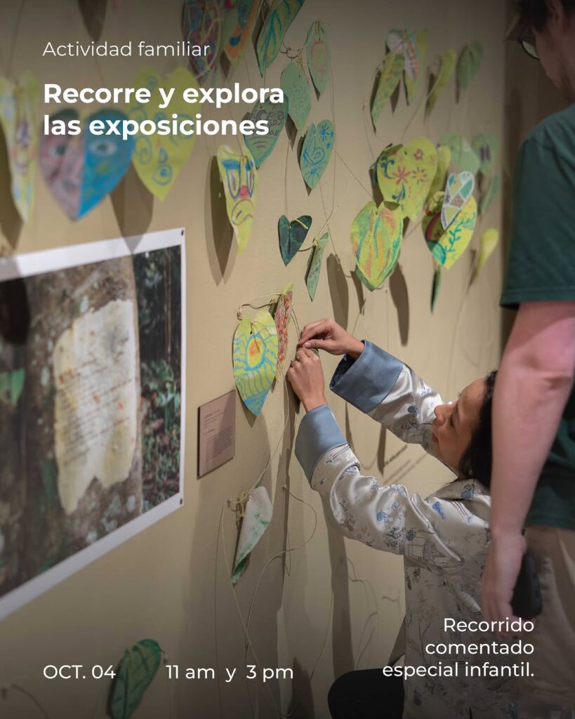 Recorre y explora las exposiciones