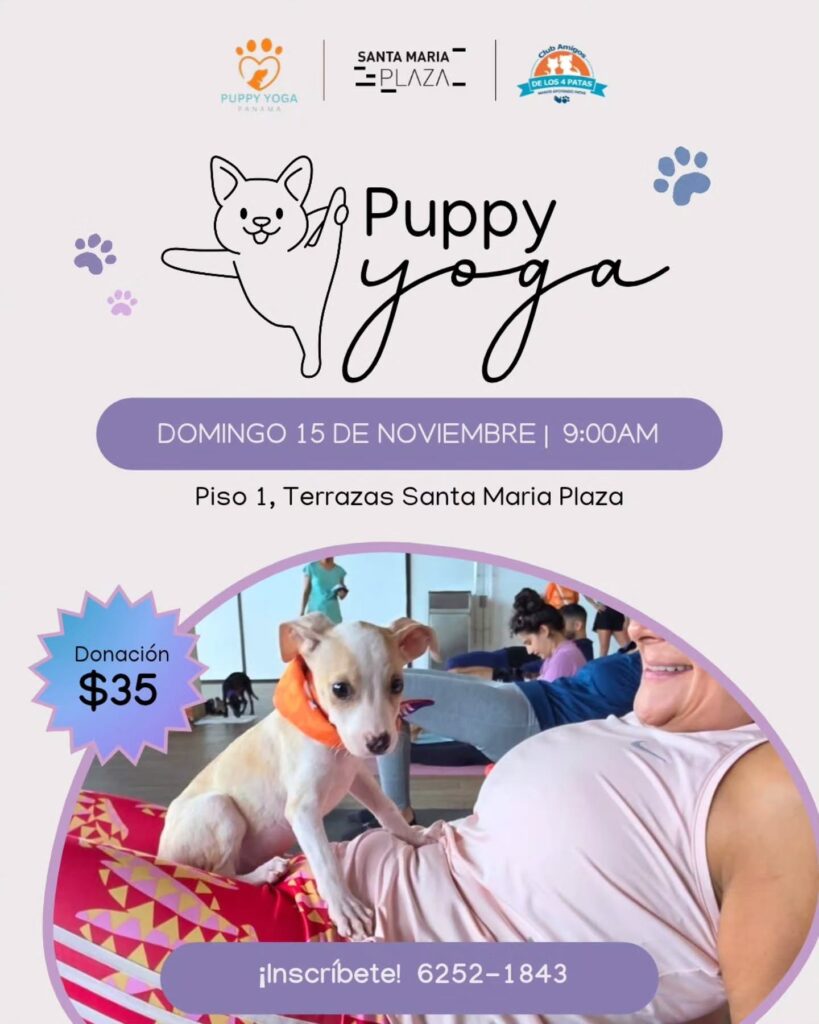 Puppy yoga