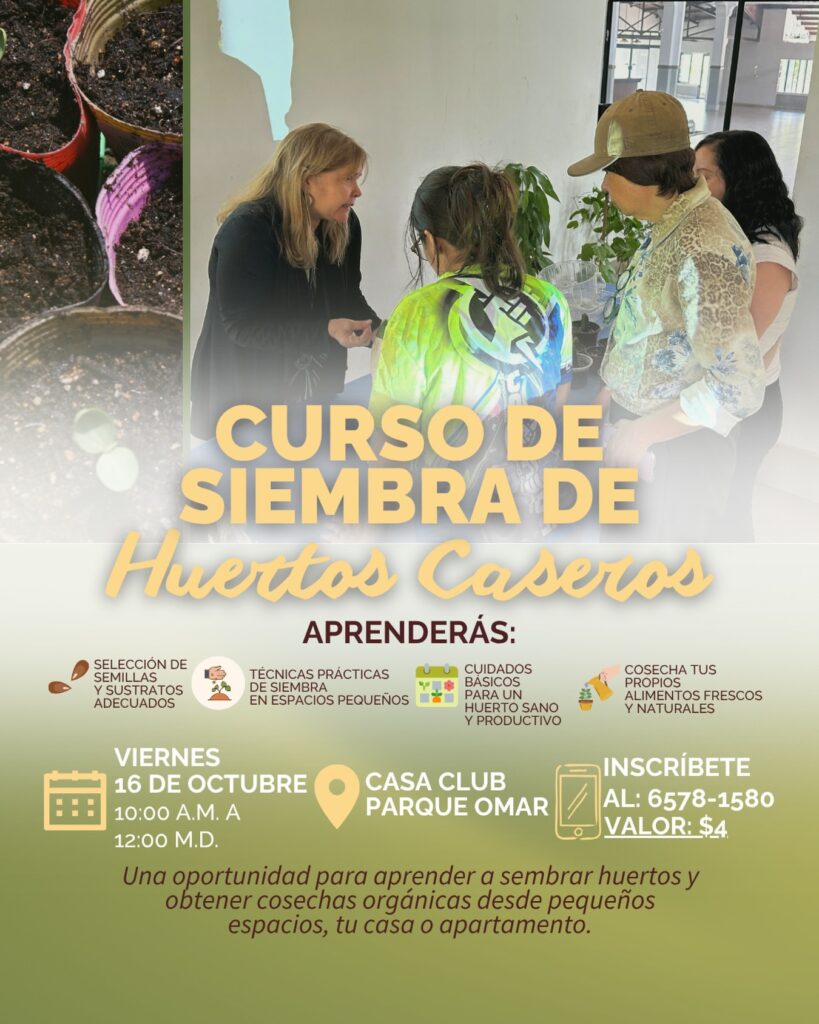 CURSO DE SIEMBRA DE Huertos Caseros