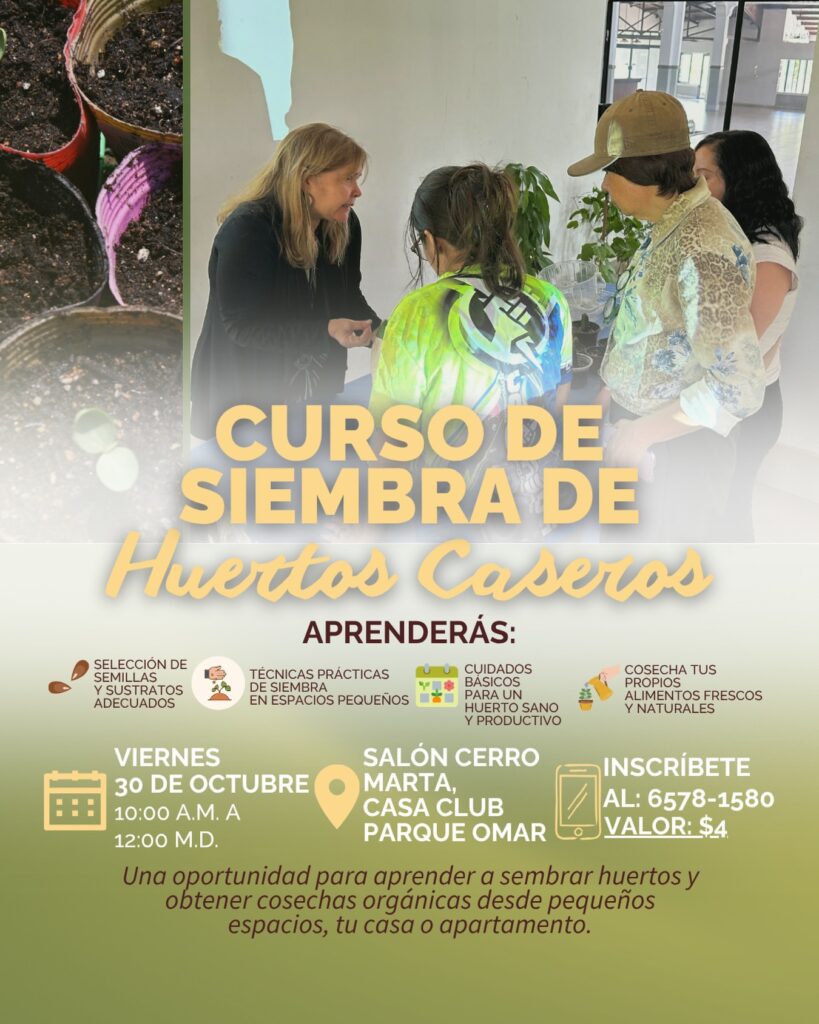 CURSO DE SIEMBRA DE Huertos Caseros