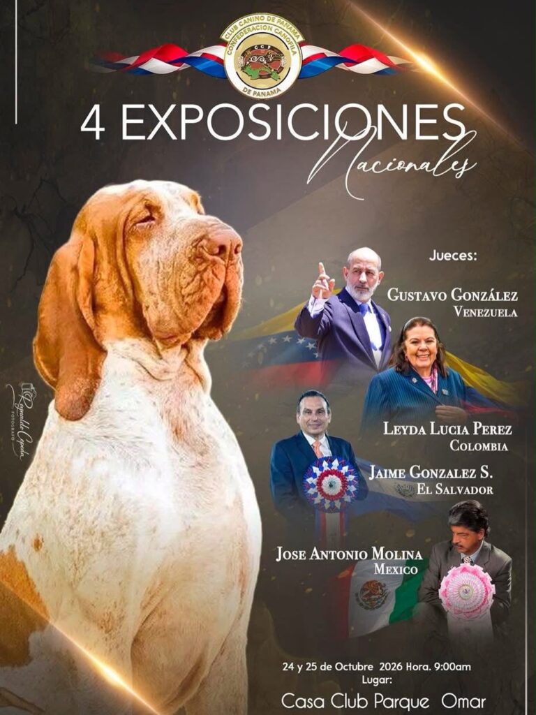 4 EXPOSICIONES Nacionales