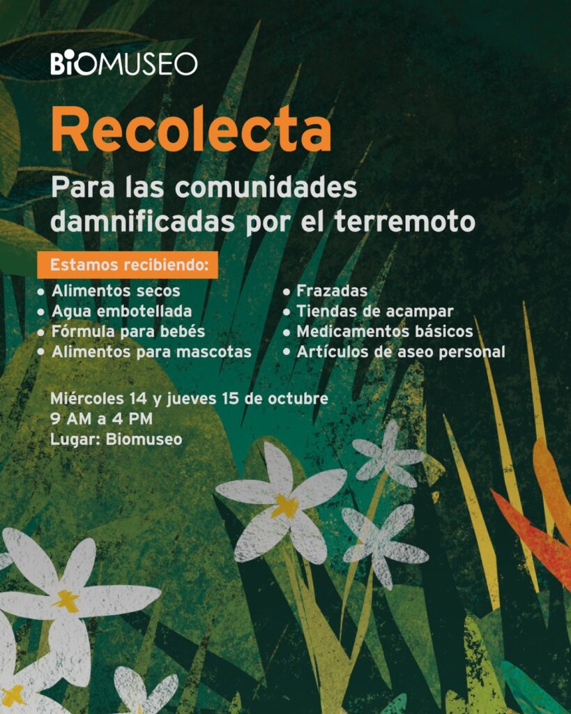 Recolecta