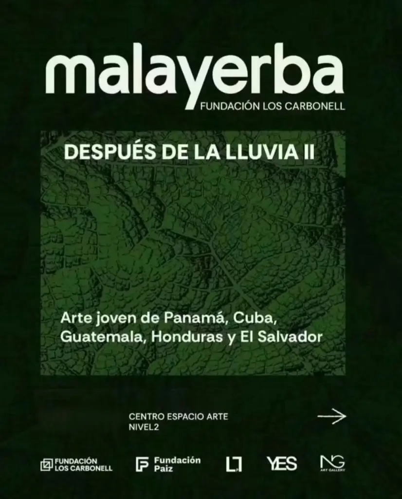 DESPUÉS DE LA LLUVIA II