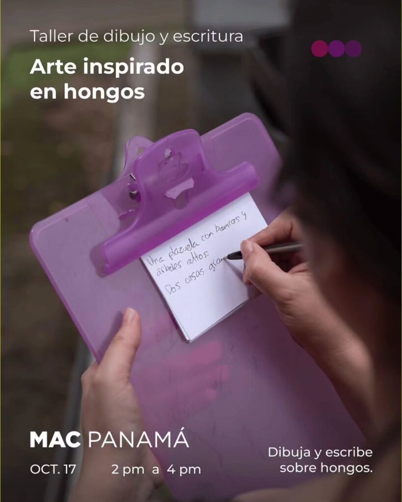 Taller de dibujo y escritura