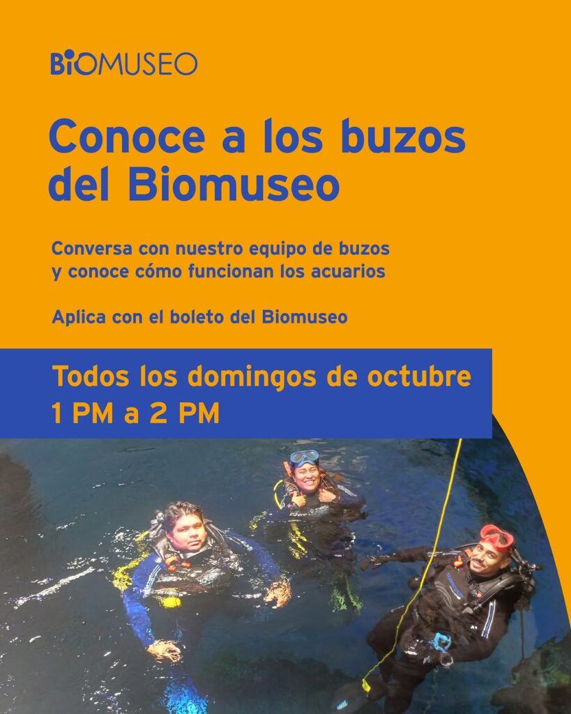 Conoce a los buzos del Biomuseo