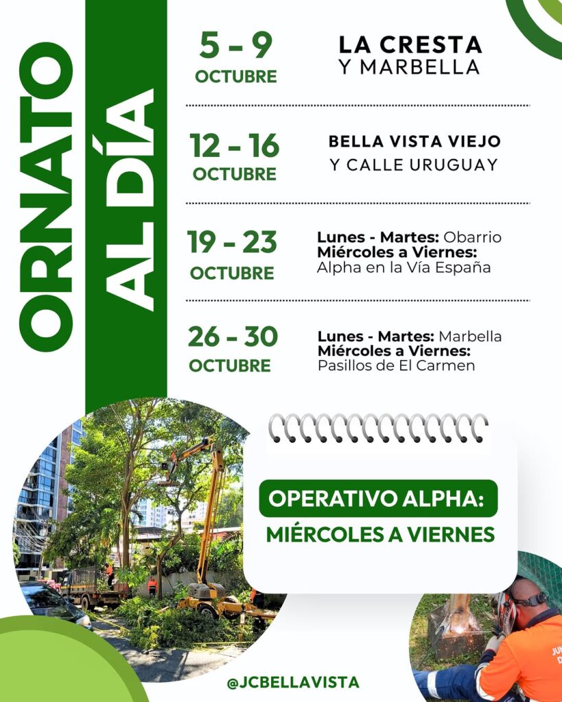 Operativo Alpha: Miércoles a Viernes