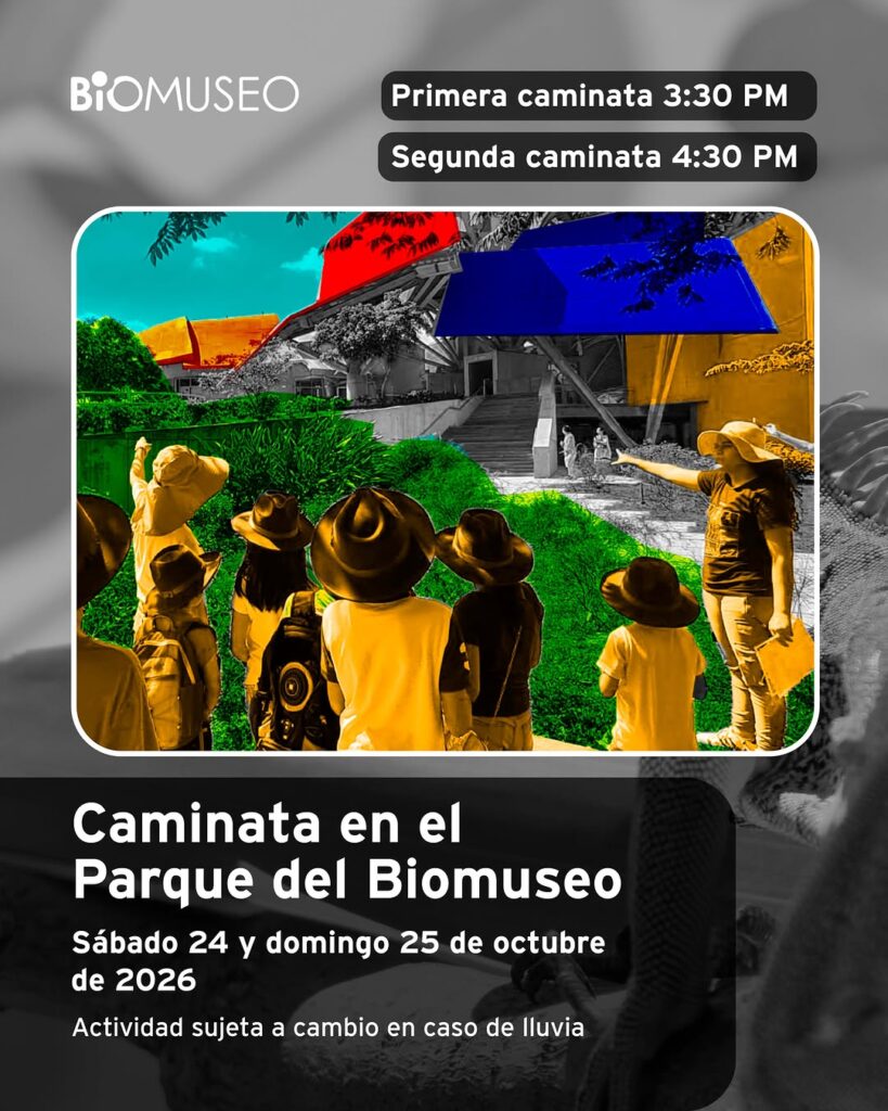 Caminata en el Parque del Biomuseo