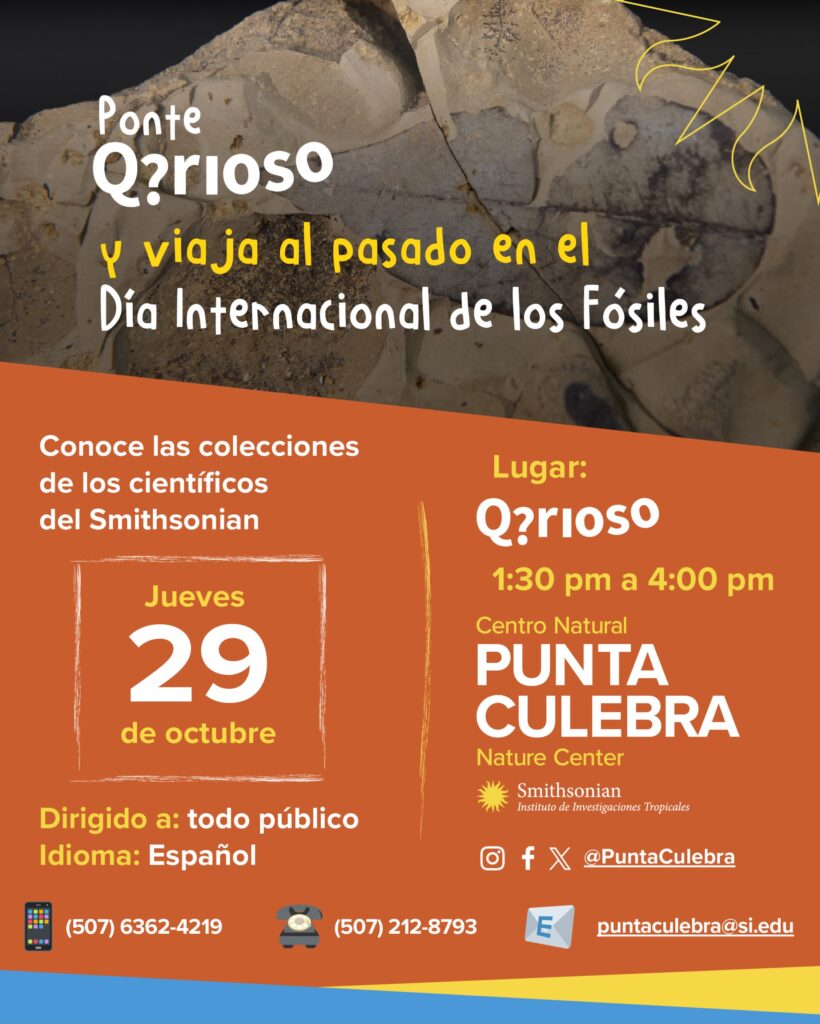 Ponte Q?riosos y viaja al pasado en el Día Internacional de los Fósiles
