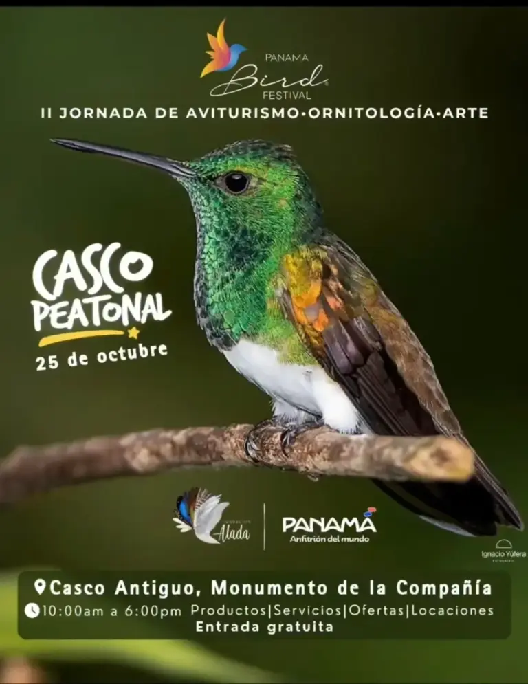 II Jornada de Aviturismo, Ornitológía y Arte