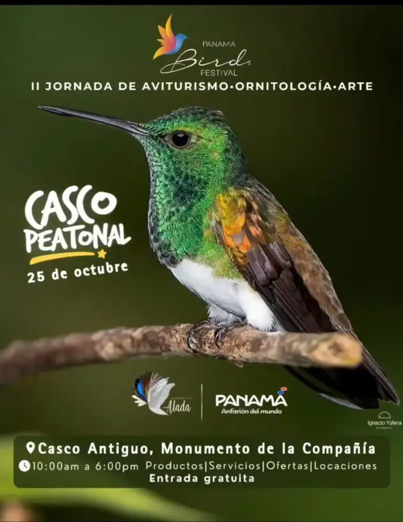 II Jornada de Aviturismo, Ornitológía y Arte